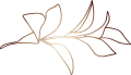 Decoration